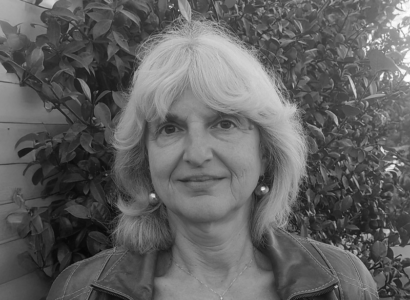 Μέλος του διοικητικού συμβουλίου_lili